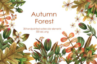 Autumn Forest Illustrations Review