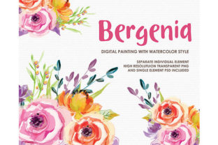 Bergenia Watercolor Floral Clipart & Illustrations