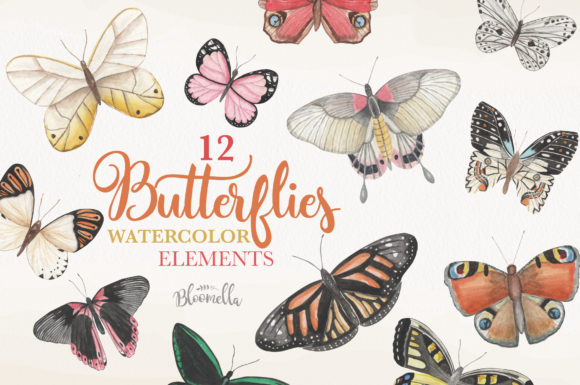 Butterfly Watercolor 12 Clipart & Illustrations