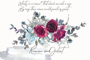Elegant Watercolor Burgundy Roses Illustrations