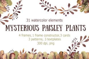 Mysterious Paisley Plants: A Designer Review