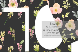 Watercolor Blush Floral on Black Background Illustrations