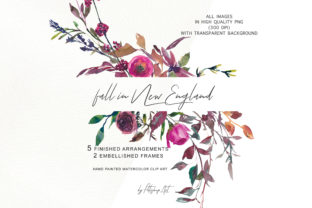 Watercolor Fall Twigs Herbs Flowers Review