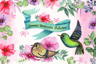 Watercolor Summer Collection: Fresh Illustrations